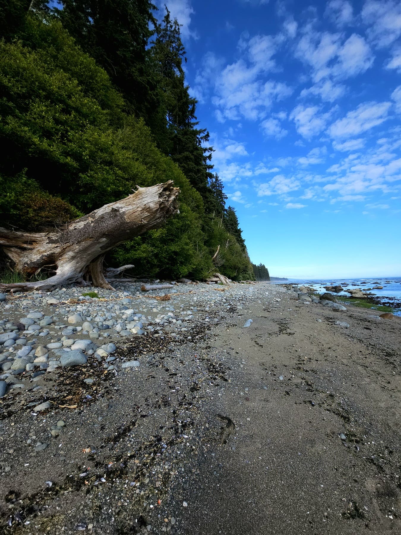West Coast Trail : le guide complet pour préparer votre trek